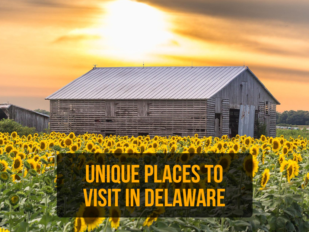 Unique Places to visit in Delaware