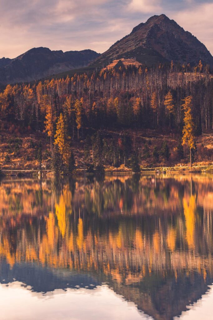 autumn colors on forest over lake in high mountain P3YYGAV compressed